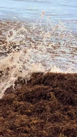 #LIVEIncentiveProgram #JustGoLIVE #PaidPartnership 