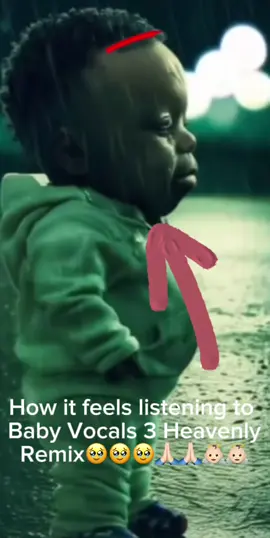 #meme #babyvocals3  #niche