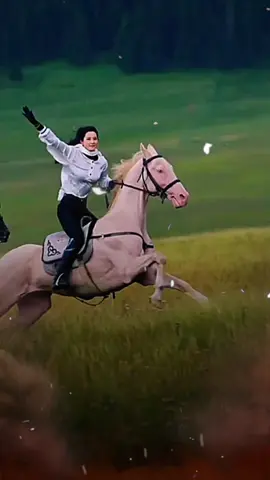 #CapCut #خيل_وخياله🐎 #خيل_وخياله 