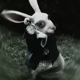 All Roads Lead To Rome. // ib: @The Maker //#allroadsleadtorome #aliceinwonderland #edit #dontflop #rabbit 