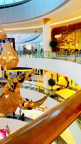 Dubai Mall 🌸🥀 #dubaimall #duet #fy 
