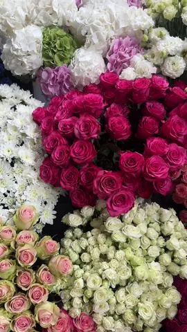 #рекомендації #tatarivflowerstore #квіти🌺🌸🏵️ #ukraine🇺🇦 #доставкаквітів            