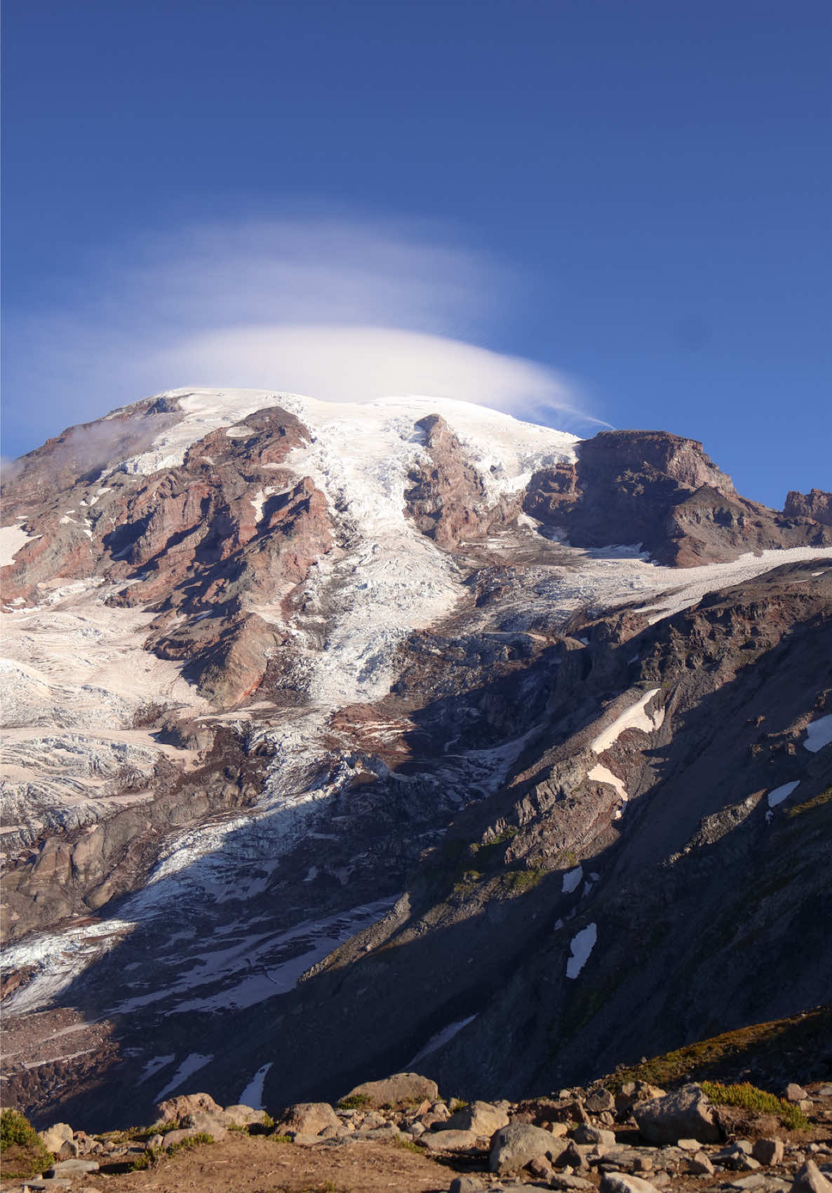 Morning in Rainier 🏔️ #mountrainier #landscapevideography #rainier #hike 
