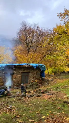 بەخێربێت وەرزی پایز ئەی جوانترین وەرزەکانی ساڵ.🍁#فۆلۆمان_بکەن_بۆ_بێنینی_جوانترین_پۆست 