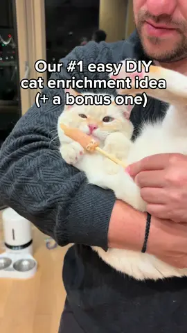 We gotcha DIY enrichment ideas right here  . . . #diycat #catenrichment #healthycat #catfun #catplaytime   
