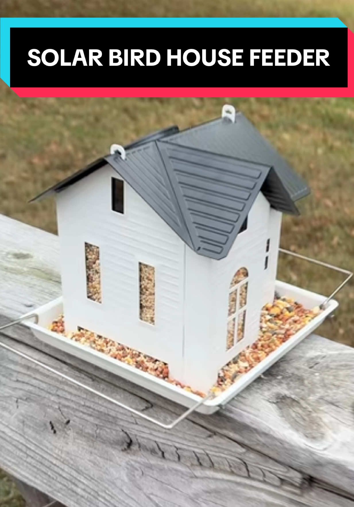 Cute solar bird feeder #birdfeeder #solarbirdfeeder #backyarddecor #outdoordecor #TikTokMadeMeBuyIt 