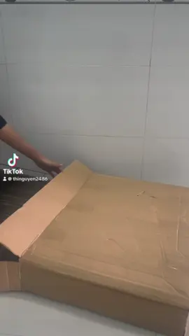 #thi #yeuchomeo #longchomeo 