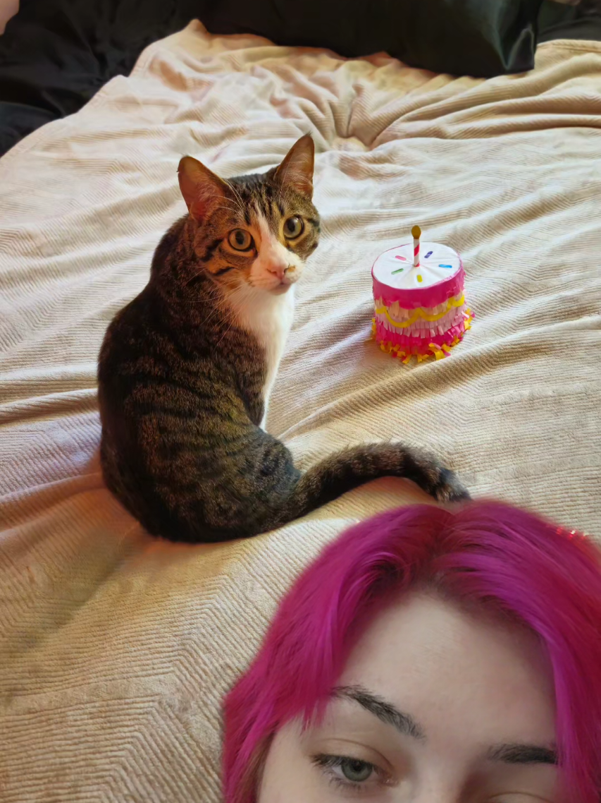 Don't stress yourself out with trying to be perfect, just do the best you can and learn from your mistakes. 🩷 #socialmedia #rant #makingmistakes #LifeAdvice #doingbetter 