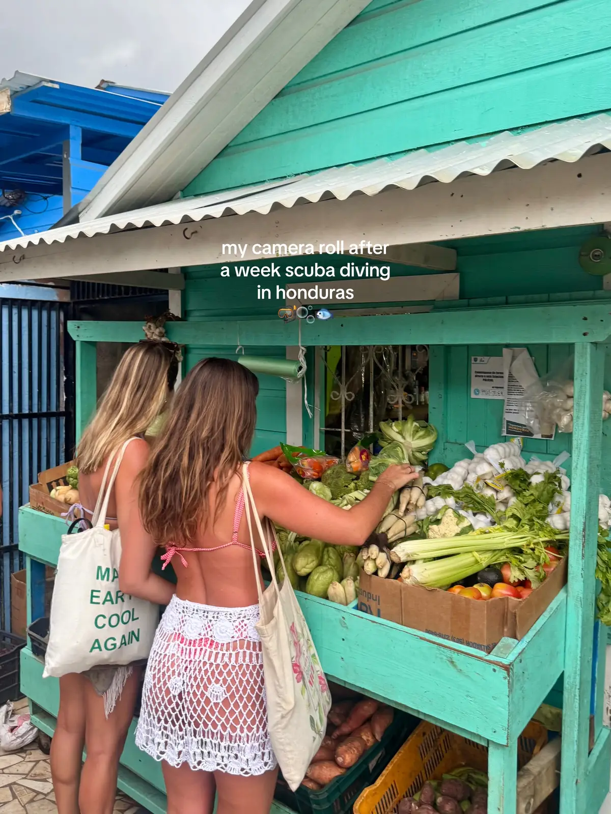 My life scuba diving in honduras with @Altons Dive Center !! Utilia was a dream & I am finally open water certified 🌴🤿🐬 #travellifestyle #travelinyour20s #scubadiving #utila 