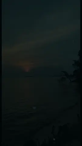 #tiktok_beranda_fypシシ 