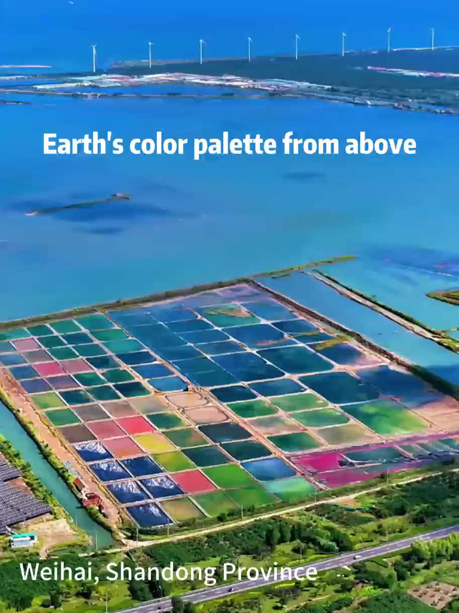 From the sky, salt fields unfold like an artist's palette with patches of turquoise, rose, emerald, and gold shimmering in the sun.