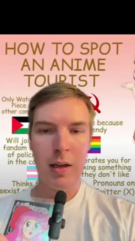 Anime tourism and you! #onepiece #hunterxhunter #manga #anime #fyp 