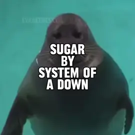 i’m losing my mind over the end sugar by system of a down seal music video requested by @Gustavo  #seal #sealtok #systemofadown #soad #sugar 