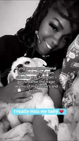 Kyng was my emotional support dog, had him since he was 3mos old. I got him after the tragic deaths of my cousin’s and brother. He gave us 6 great years with him. Iykyk your pets really do become apart of your family. Feels like I lost a child 💔R.I.P my Kyng 🐾🕊️♥️ 