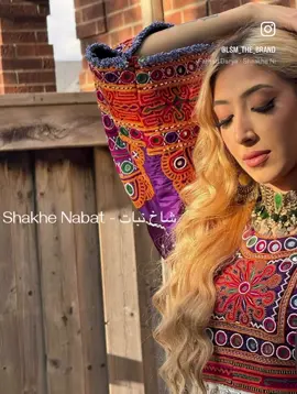 Shakhe Nabat - شاخ نبات