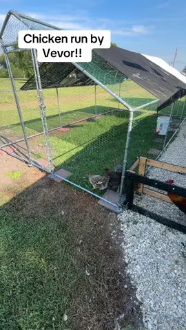 Vevor chicken run ! #chickens #chickenrun #ducks #chickencoop @vevor shop 