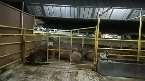 otw paket ke Semarang 