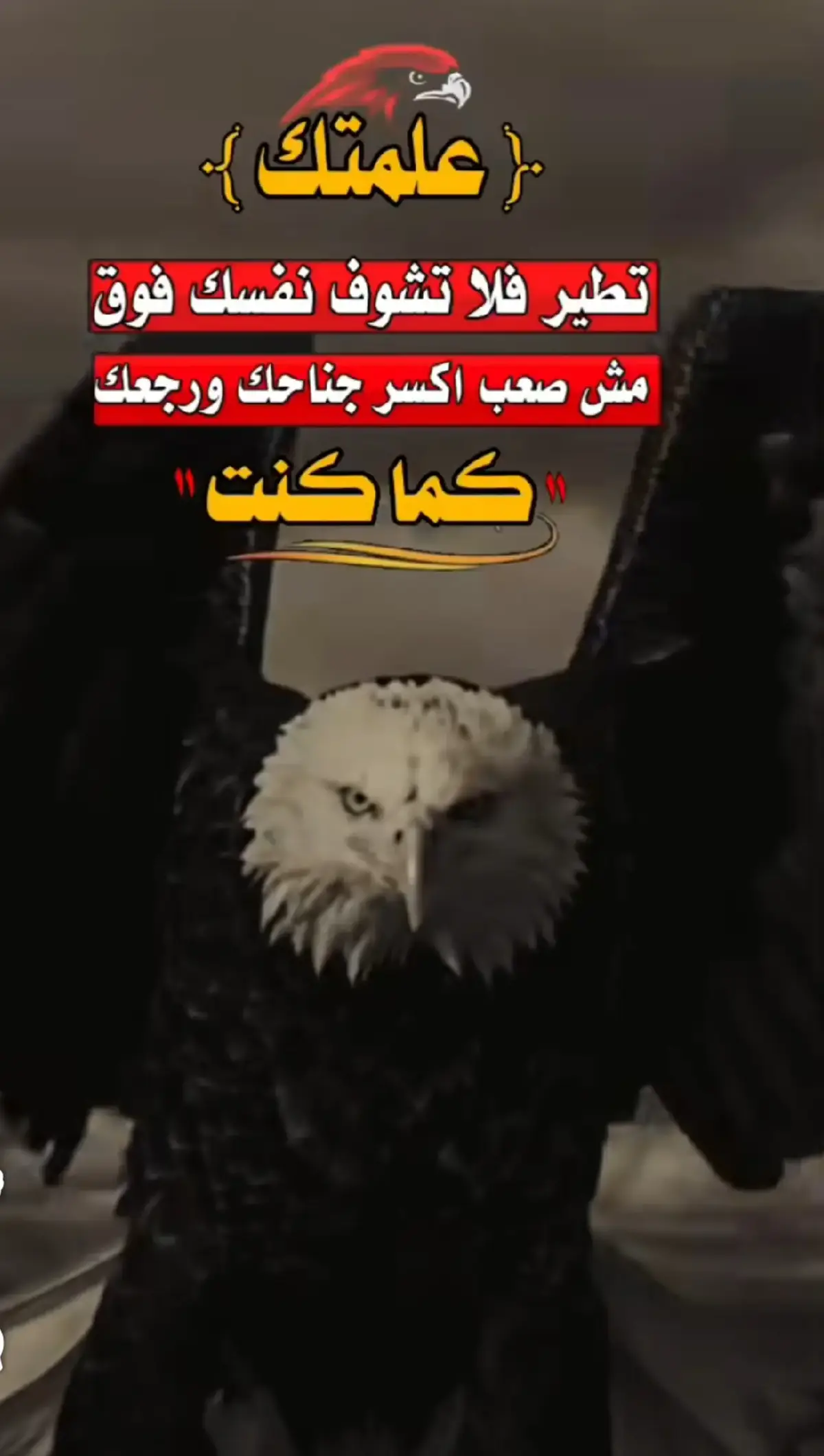 #فولوــــــــــــــــ_متابعه_ــــــــــــــــــــاكسبلور #عبارات_جميلة_وقويه😉🖤 #تصميم_فيديوهات_اقوي #اكسبلورexplore 