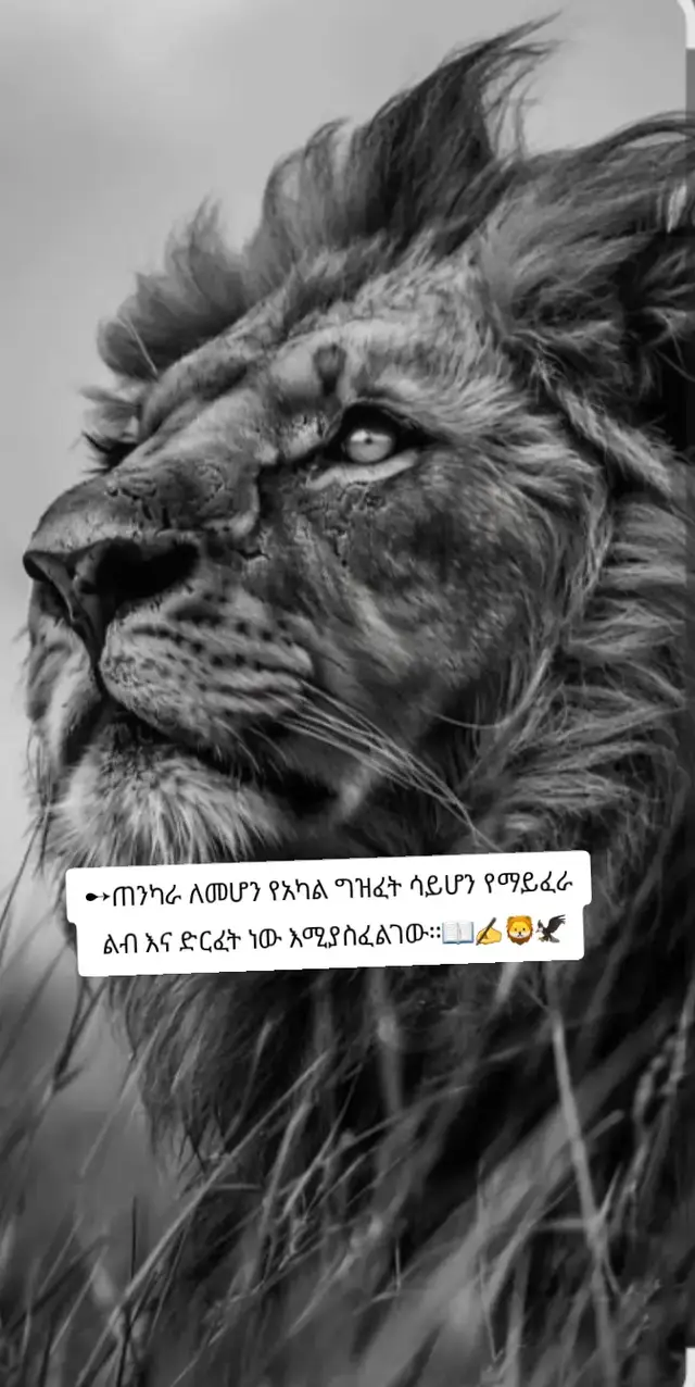 #fyp #viral #ethiopian🇪🇹🇪🇹🇪🇹🇪🇹ሀገሬlove #ደግነት_ለራስ_ነው🥰🙏🥰 #ሴትነት👸💪🧕❤️ 