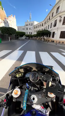 #🦈 #algeria #r6yamaha🏍️😈 #sports 