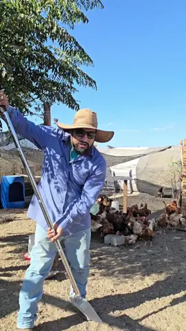pala con orificios para limpieza de gallinero #gallinero #limpieza #gallinas #ponedoras #hometools 