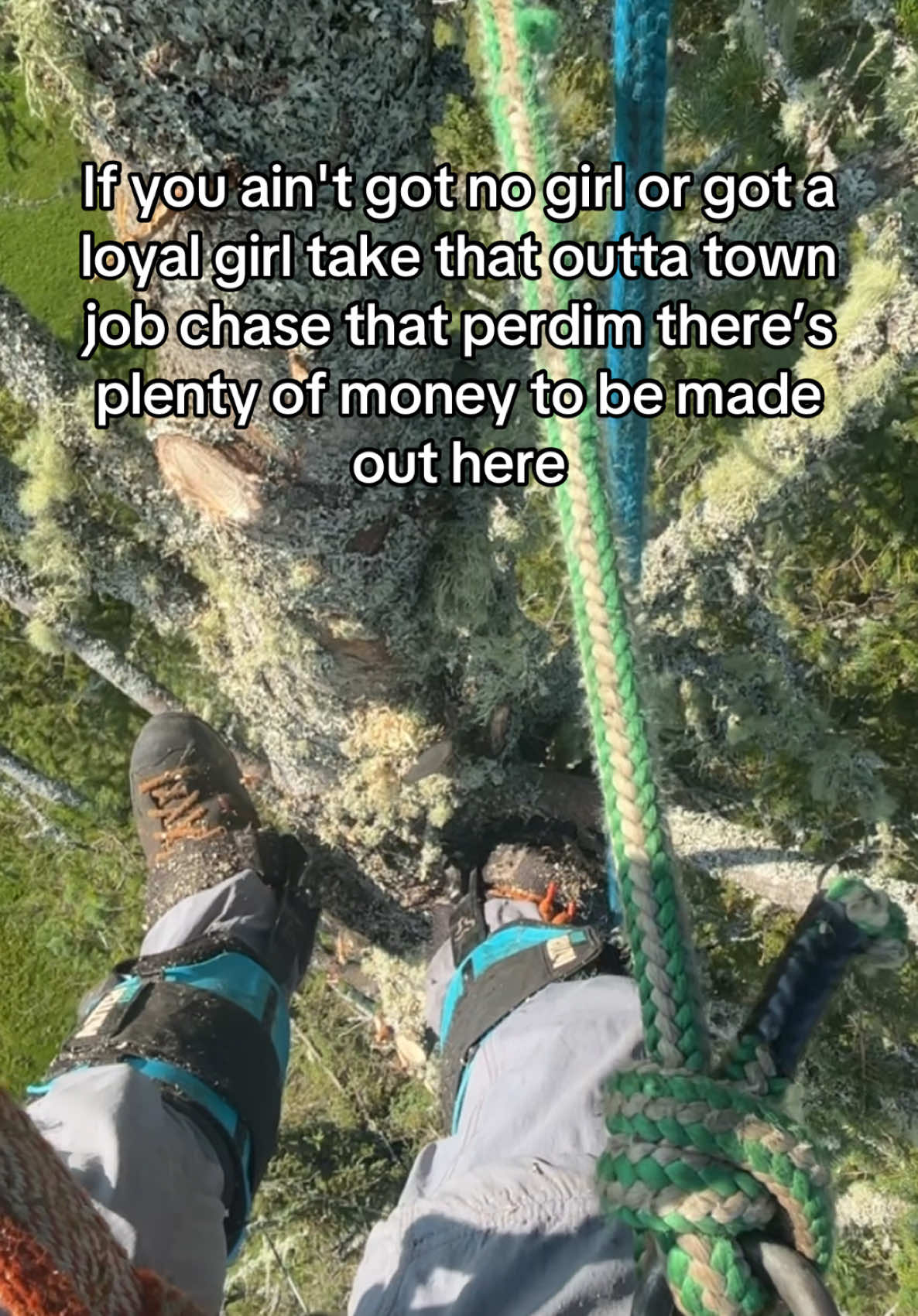#parati #arboleros #lineclearancetreetrimmer #powerlineclearence #treework 