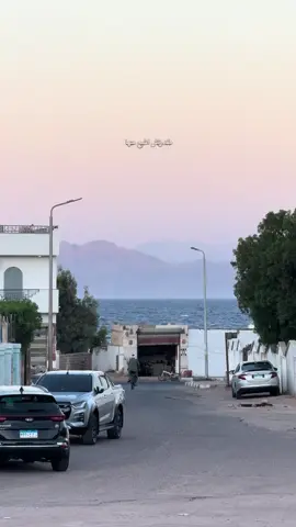 #fyp #dahab #viral #دهب #dahabegypt 