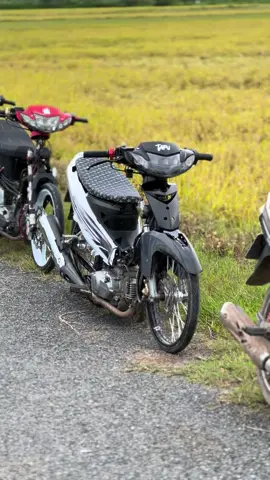 5p trước thảm hoạ 🥲 #xuhuong #siriusđộkiểng #giaothongbatxe #siriusdangma #84travinh 