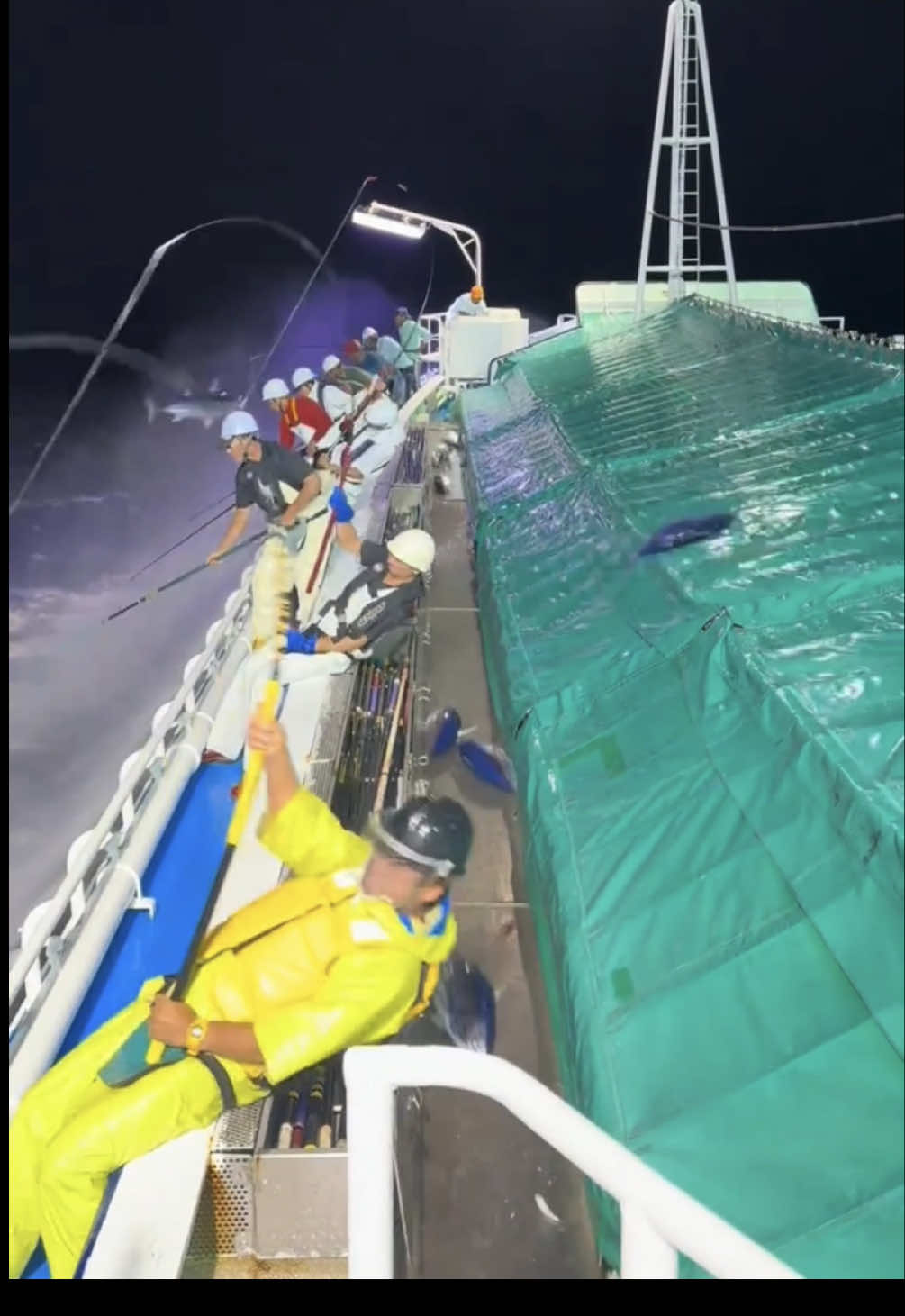 We’re on a boat in Indonesia that ethically catches tuna by line fishing only 🎣🤯 With @Nod  #fyp #foryou #fishing #tuna #foodporn 