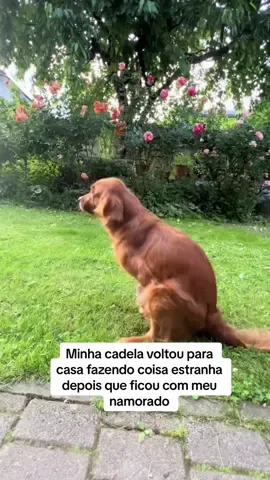 Minha cadela Beatriz voltou para casa estranha depois que ela veio da casa do meu namorado e quando eu descobri o que aconteceu eu tive que chamar as autoridades 😭💔 #cachorros #namorados #gravidezsurpresa #historiareal 