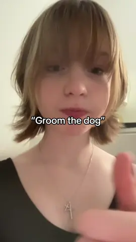 Stupid dog#xyzbca #dog #groom #viral #fyp 