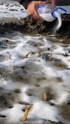 #fpy #amazing #seafood #catch 