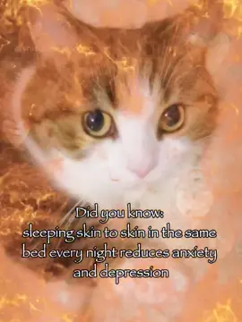 Did you know 😉#rizz #cattok #joke #relatable #foryoupage 