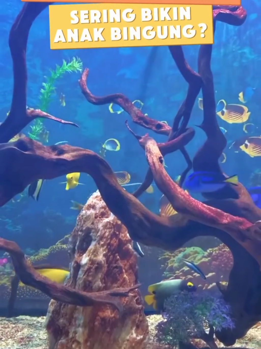 #Repost @bugururia Jelasin Ekosistem & Rantai Makanan bikin bingung? Gak lagi! 🌱   Dengan Media 3D Ekosistem & Rantai Makanan ini, anak bisa merakit sendiri alurnya. Dari produsen, konsumen, sampai pengurai!   Banyak pilihan tema seru: Hutan, Laut, Sawah, Gurun, & lainnya! 🌊🌳   Belajar jadi lebih nyata, interaktif, & nempel di otak. Praktis banget buat guru, tinggal print & langsung pakai di kelas!   Mau filenya? 👇 Komen “EKOSISTEM”, nanti aku kirim link-nya ke DM! 💌   #RantaiMakanan #Ekosistem #BuGuruRia