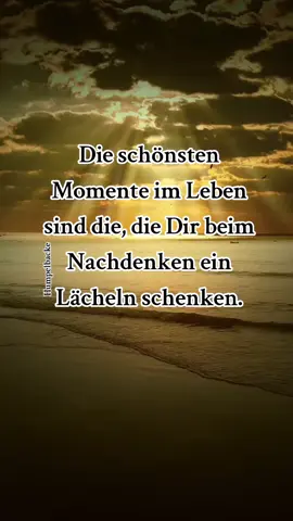 #zitate #sprüche #wahreworte #foryou #fyp 