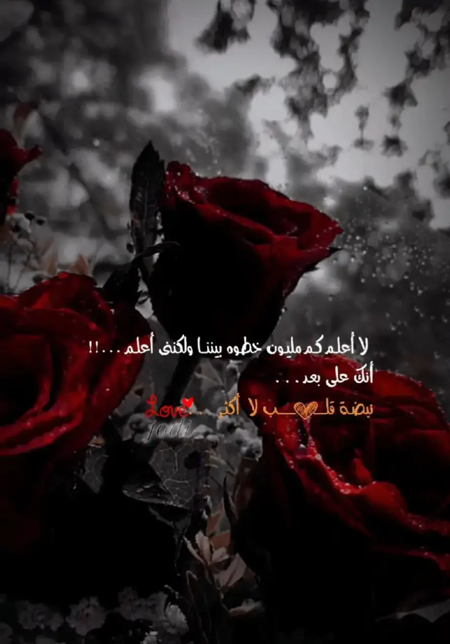 نبض قلبي ❤️ 