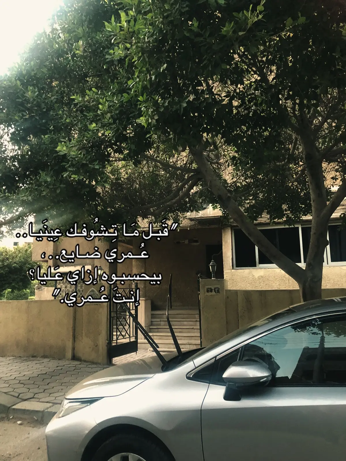 #ام_كلثوم #انت_عمري 