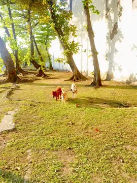 #educacaotravesty @Bela Dona Bia @Bianca Kalutor @kalutor Bibi 