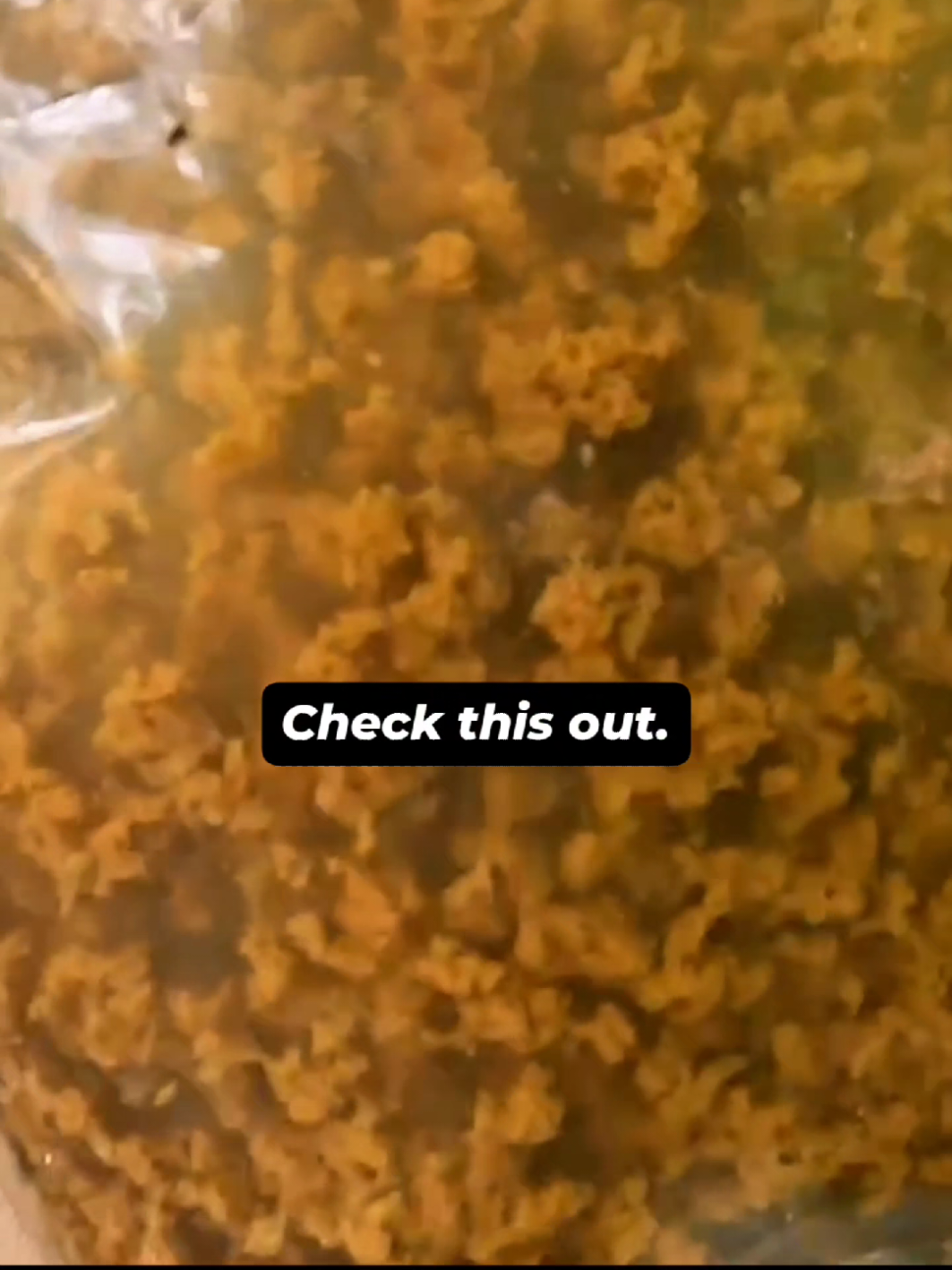 This Bag Makes DIRTY Water Safe #survival #water #battlbox #currin1776 #fyp 