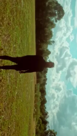 Dreams #fyppppppppppppppppppppppp #housemusic #LiminalCore #dreamcore 