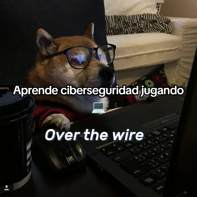 Si estás empezando en ciberseguridad, OverTheWire es la colección de wargames para practicar: • Bandit → comandos Linux básicos • Natas → seguridad web • Krypton → cifrados clásicos • Leviathan → análisis de binarios • Narnia → buffer overflow • Behemoth → exploits avanzados Comenta cuál quieres que explique en detalle y hago un tutorial. 🧠💻 #ciberseguridad #creatorsearchinsight  #studytok  #hacking  #AprendeEnTikTok 