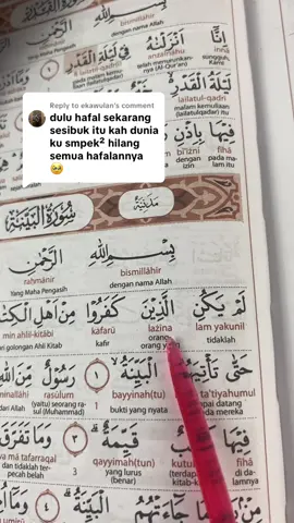 Replying to @ekawulan Dengerin berulang2 kak, biar hafal lagi surah ini #suratalbayyinah #alquran_alkareem0 