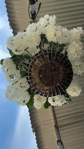 Chiếc lồng đèn nhà ai sáng quá #thosanlankieu #hoalan #kieumoga #orchid #thugian 