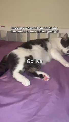 Is that a heart ❤️ #LIVEIncentiveProgram #JustGoLIVE #PaidPartnership 