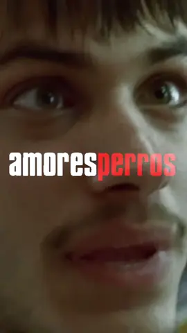 Amores Perros 🎥 #peliculas #cine #amoresperros #cinemexicano 