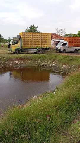 hayu muat 😁#ayamracing🐔 #subangpride🏴‍☠️ #lewatberandafyp #fyppppppppppppppppppppppp 