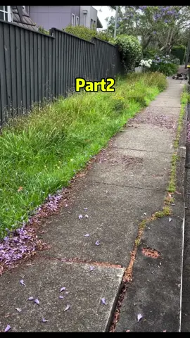 #reddit #redditstories #redditreadings 