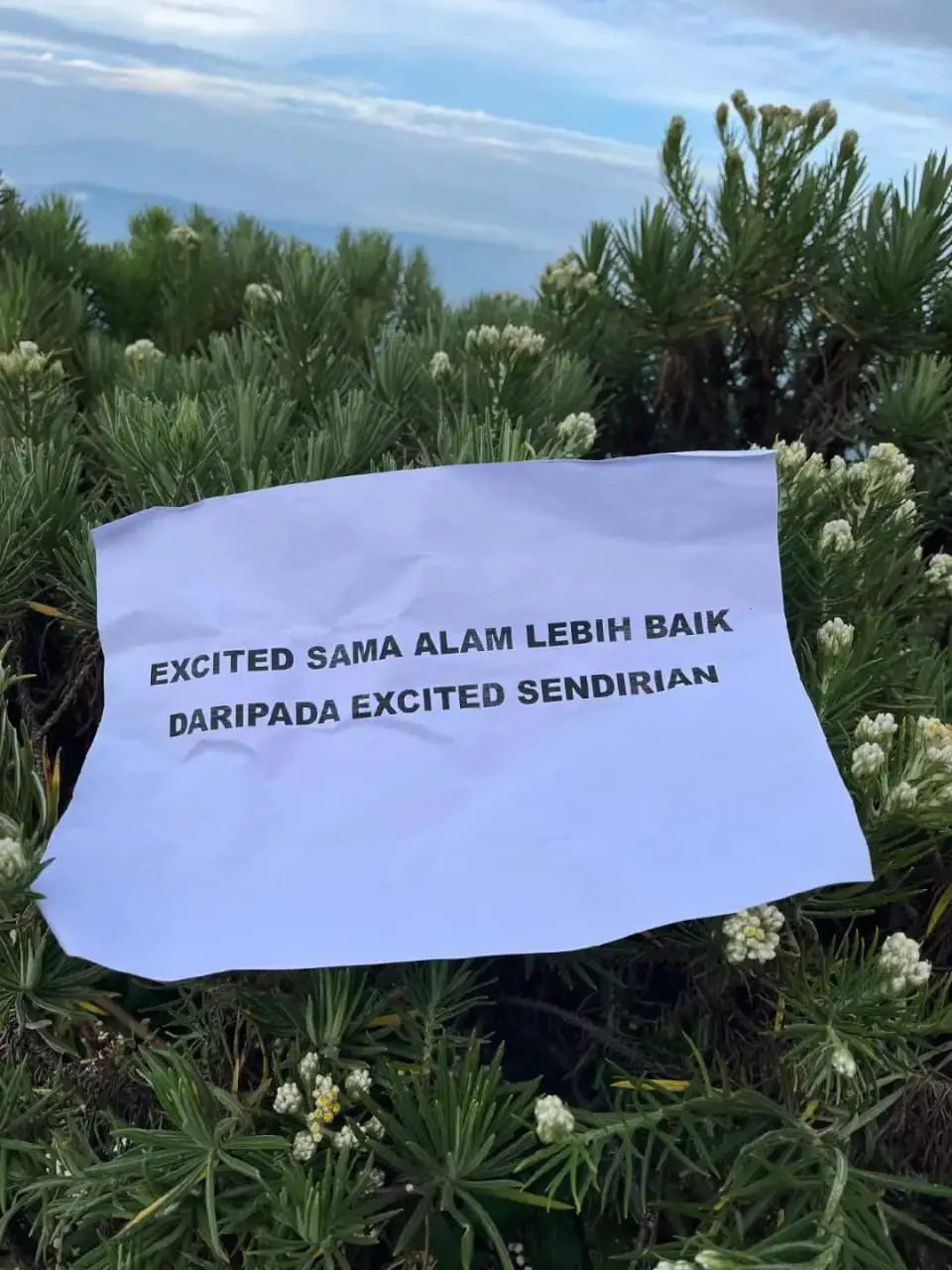 track 7jam summit 1jam turun 5jam😭😭 #fyp #fypage #pendakigunung #buthak_2868_mpdl #mountain 