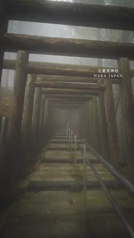 奈良県・野迫川村の山深く、霧に包まれる聖域―立里荒神社（たてりこうじんじゃ）⛩️ 標高約1,200mの荒神岳の頂き近くにあり、鳥居や参道、拝殿が白い霧に溶け込むような景色は、まるで墨絵の世界のよう。   雲海や早朝の霧により、一瞬の光と影が浮かび上がるその瞬間は、静寂と神秘が混ざり合う特別な時間です。  冷たい空気、苔むした鳥居、風に揺れる杉の葉――五感で山の気配を受け取る旅へ。🌿 📍立里荒神社／奈良県野迫川村 ※訪れる際は防寒対策と天候・道の状態にご注意を。 A sacred sanctuary shrouded in mist deep in the mountains of Nosegawa Village, Nara-Tateri Kojinja (Tateri Ko Shrine)⛩️ Perched near the summit of Mt. Kojin at about 1,200m elevation, its torii gates, stairways, and main hall seem to dissolve into white mist, as though stepping into a sumi-e ink painting.   In the early morning or when the sea of clouds rolls in, light and shadow dance in fleeting moments—silent, mysterious, unforgettable.   Feel the cold air, see the moss on the torii, hear the whisper of cedar trees—this is a journey where nature speaks through all five senses. 🌿 📍Tateri Ko Shrine / Nosegawa, Nara Prefecture ※Be prepared with warm layers, and check weather and trail conditions before you go. 