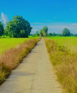 #ဟသ်ာတမြို့နယ်#သက္ကယ်ပြင်ကျေးရွာ 